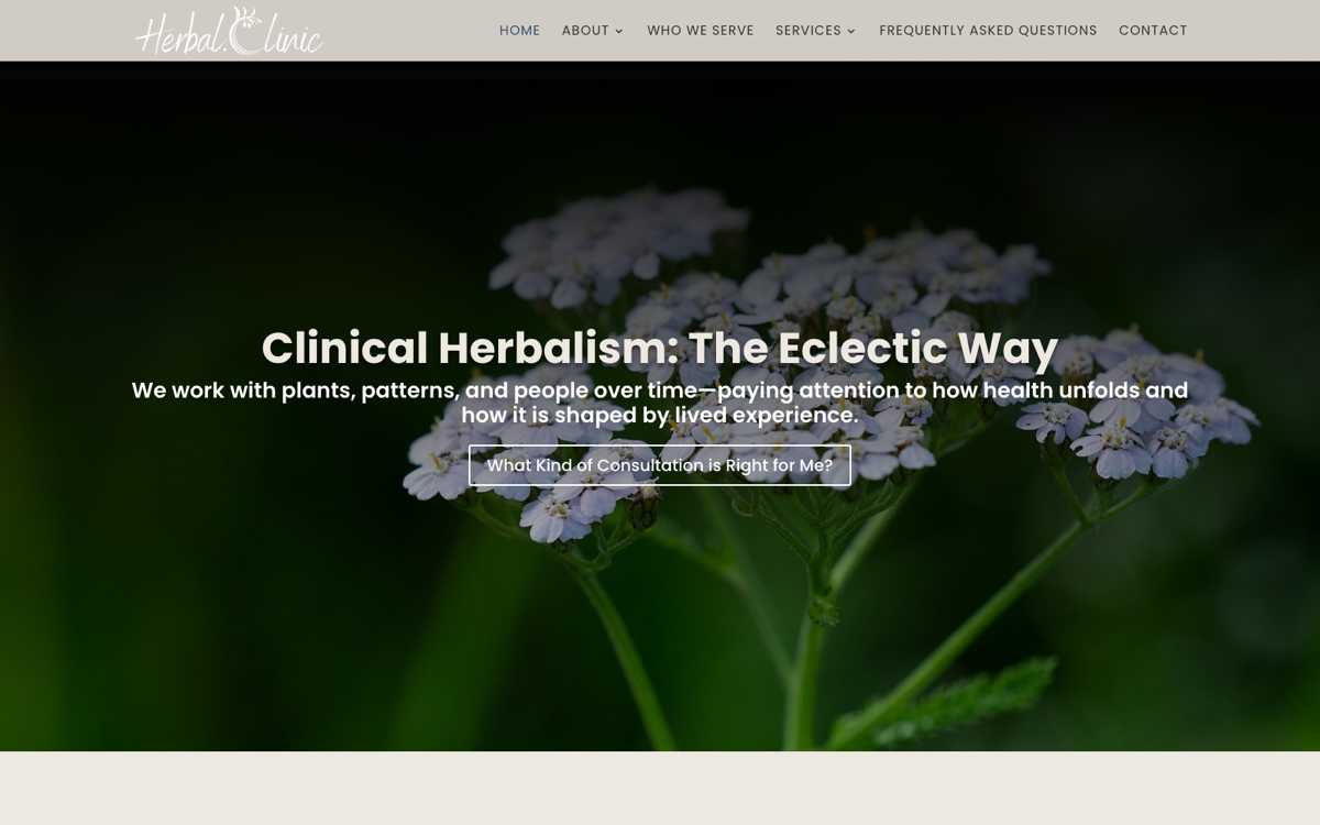 Clinical consultations snapshot